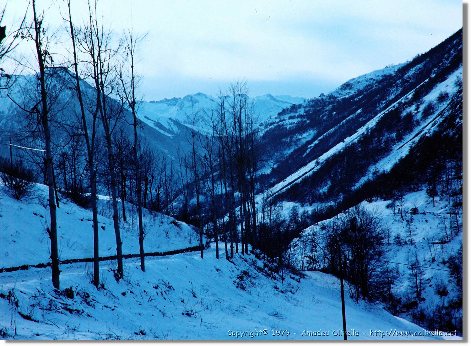 Artiga_023.jpg