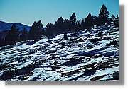 Cerdanya_044.jpg