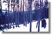 Cerdanya_001.jpg