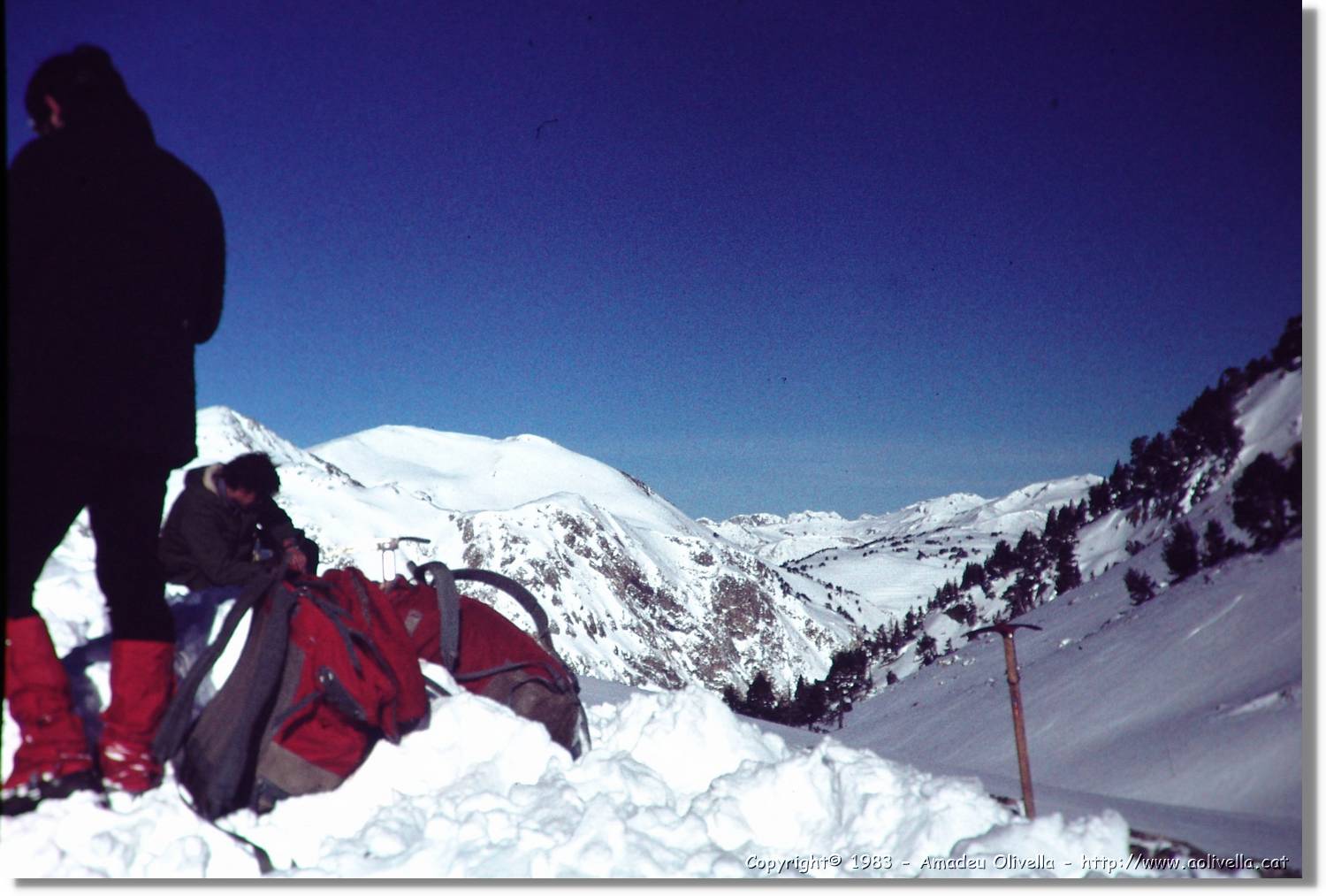 Montardo_001.jpg