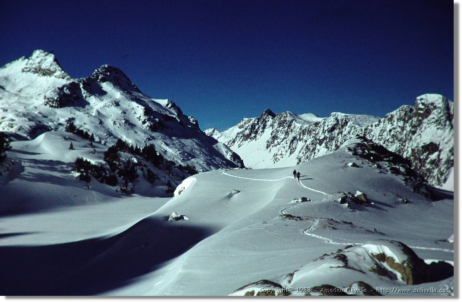 Montardo_002.jpg