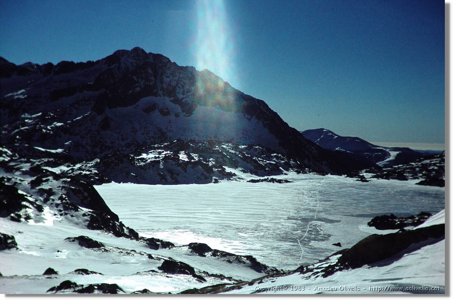 Montardo_003.jpg