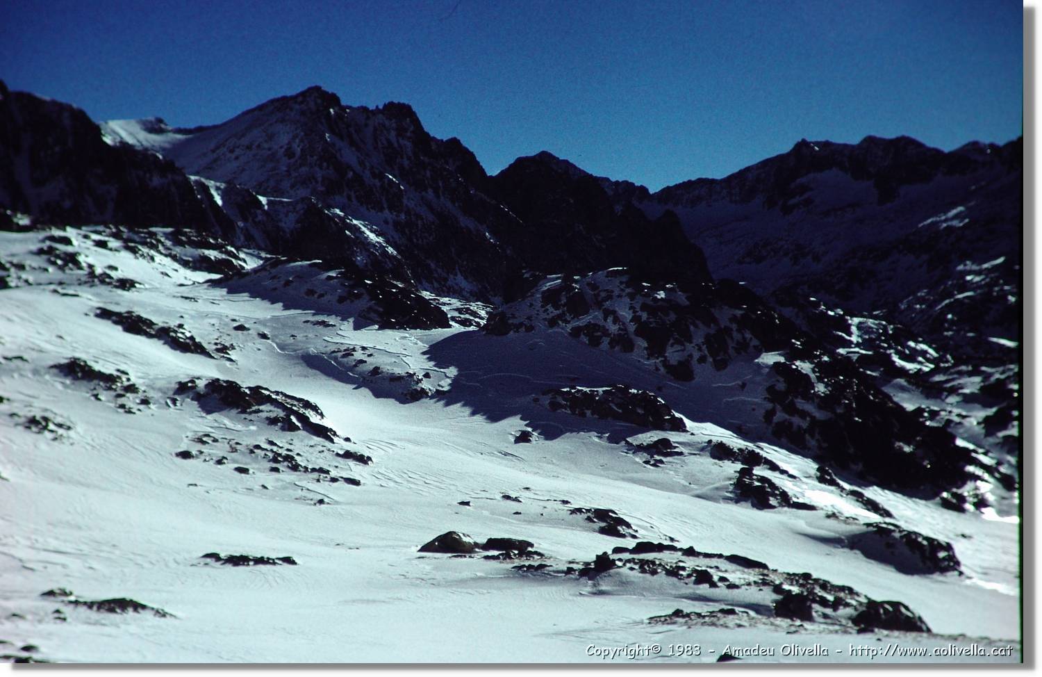 Montardo_004.jpg