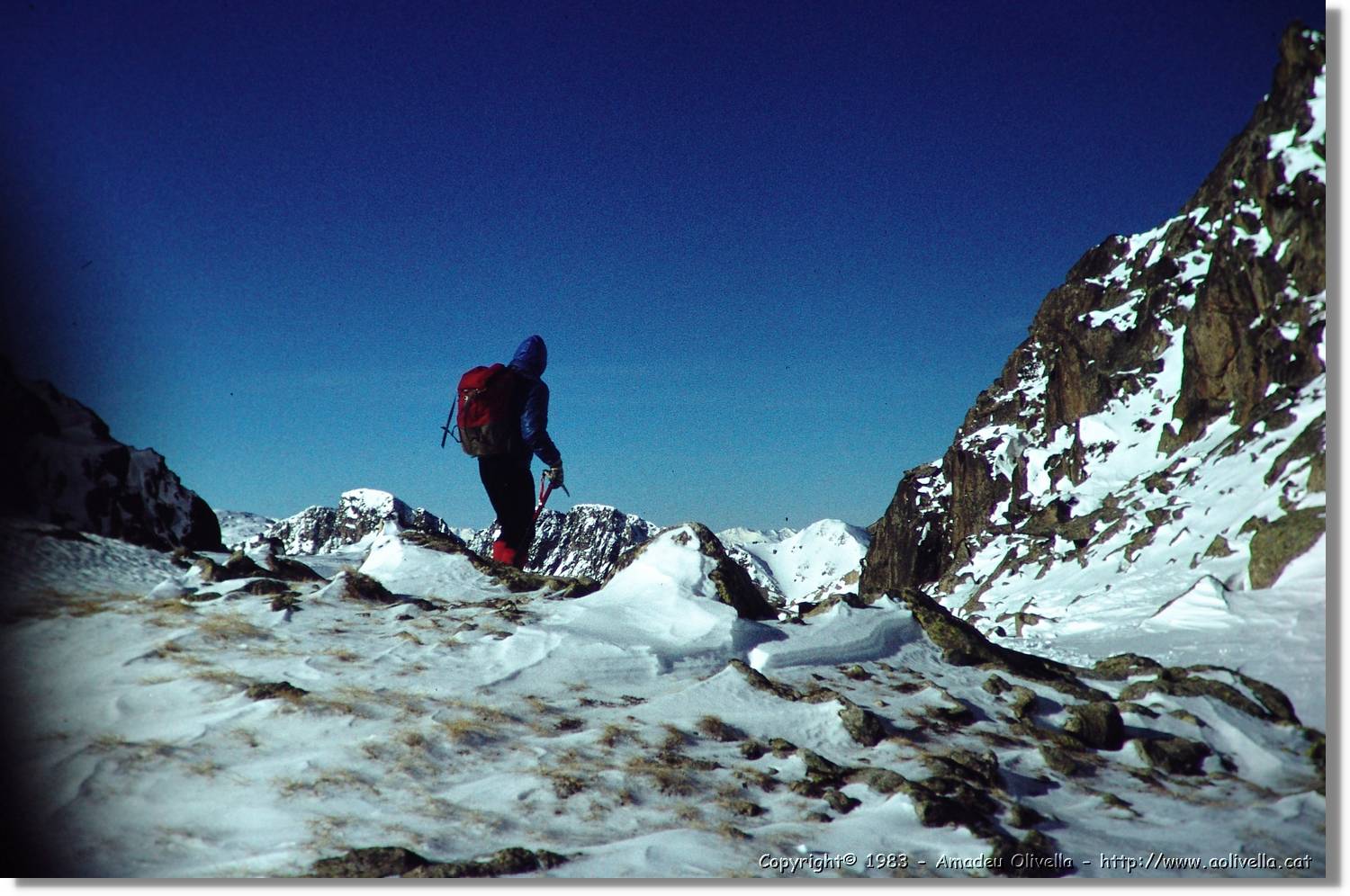 Montardo_005.jpg