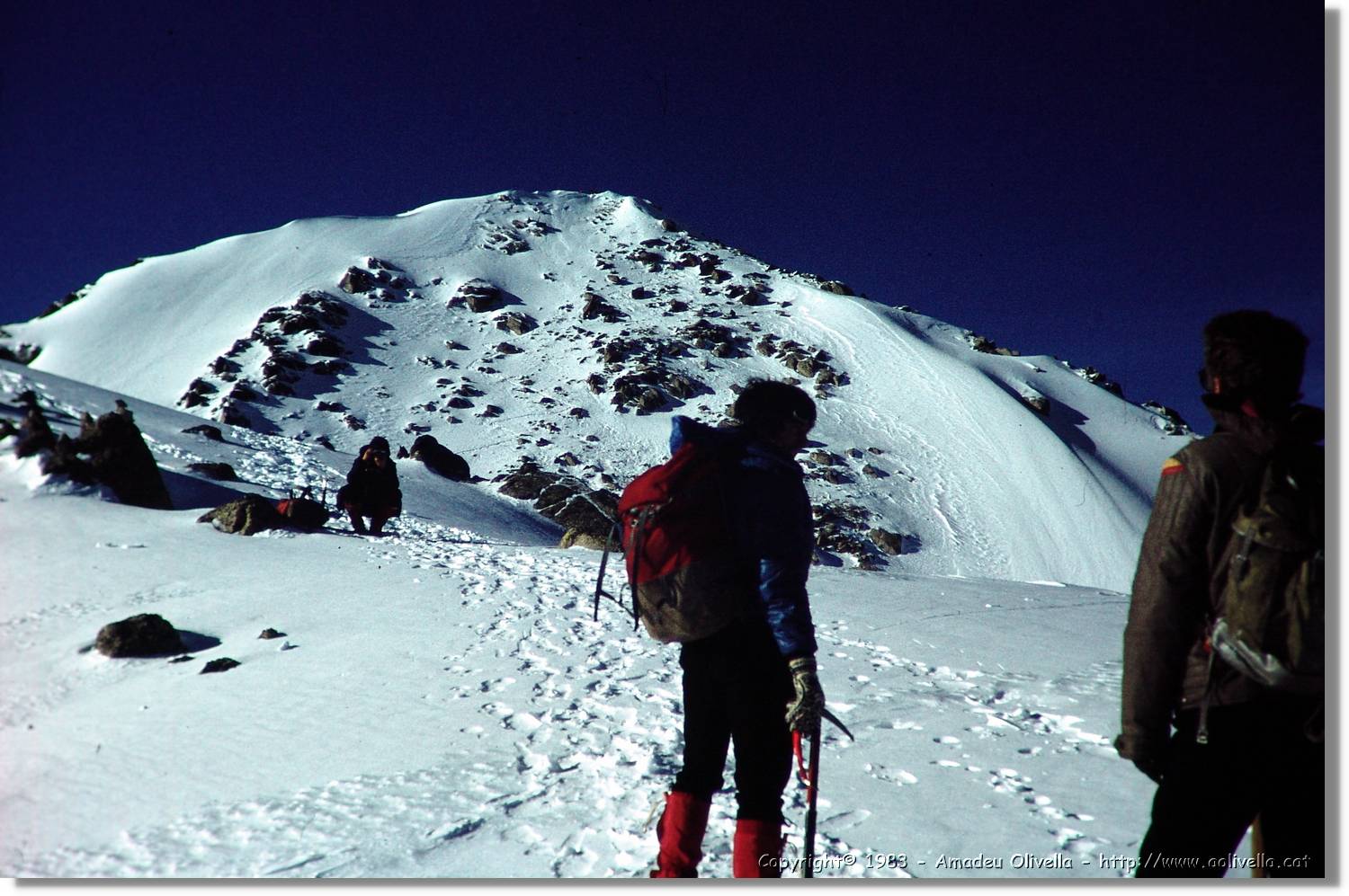 Montardo_007.jpg
