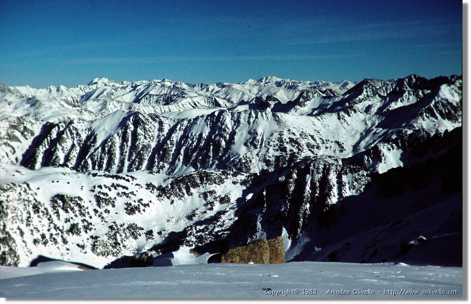 Montardo_008.jpg