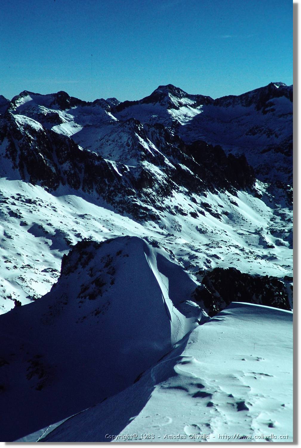 Montardo_010.jpg