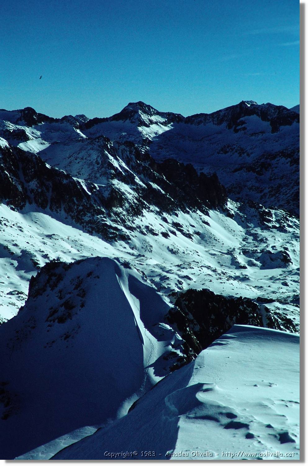 Montardo_013.jpg