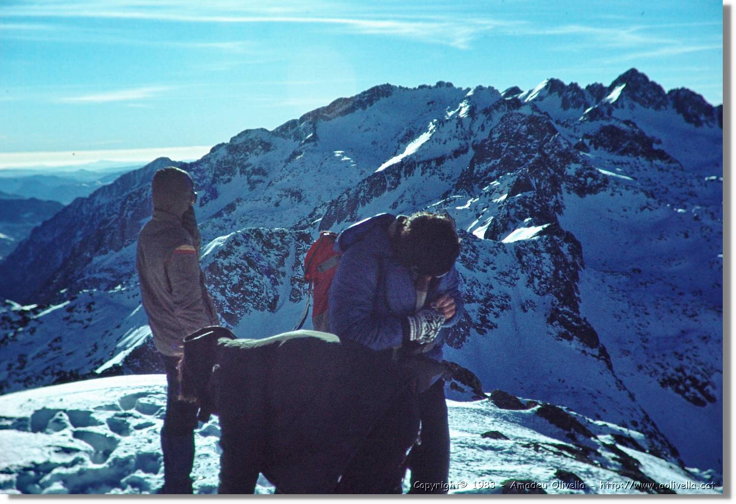 Montardo_015.jpg