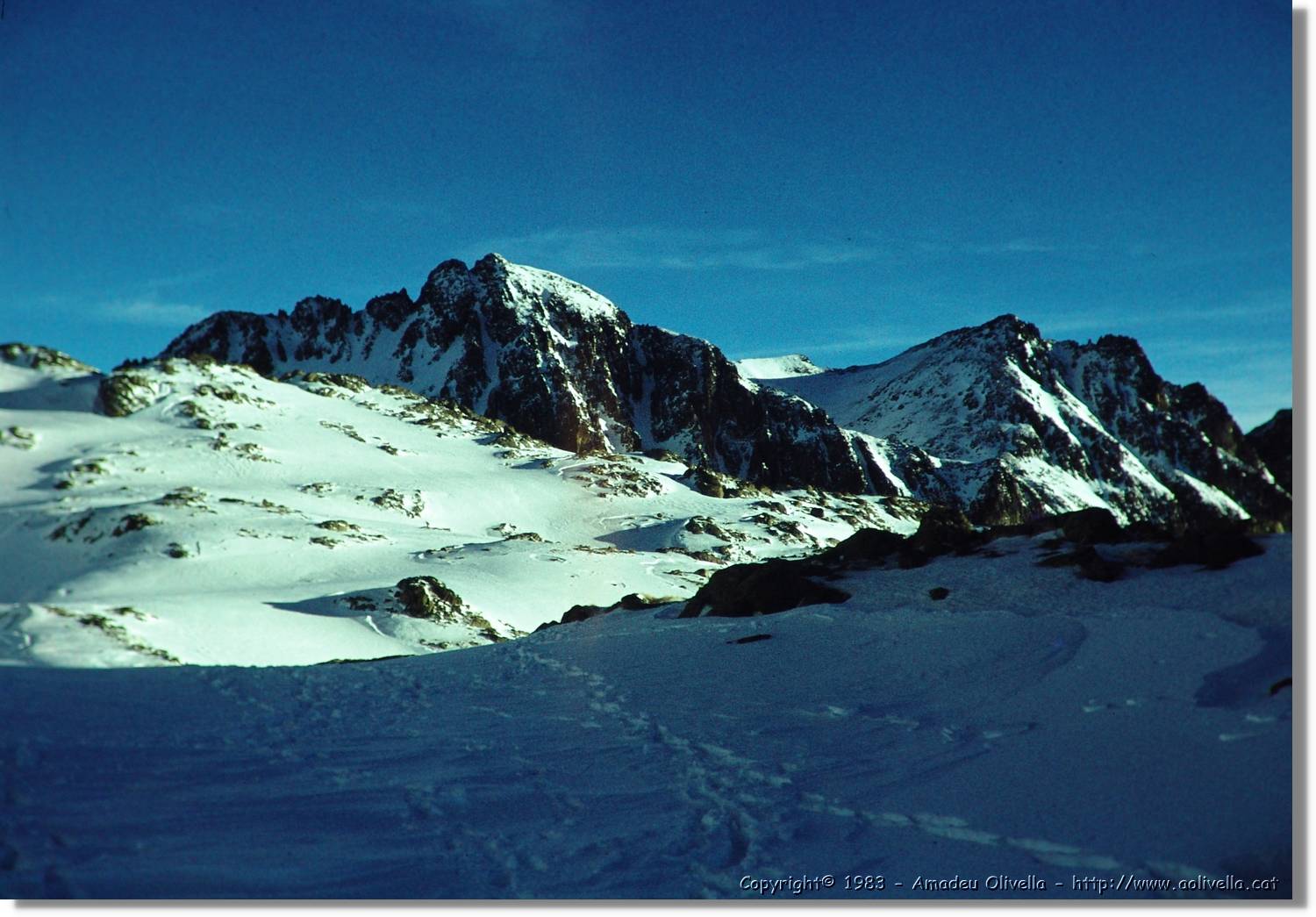 Montardo_019.jpg