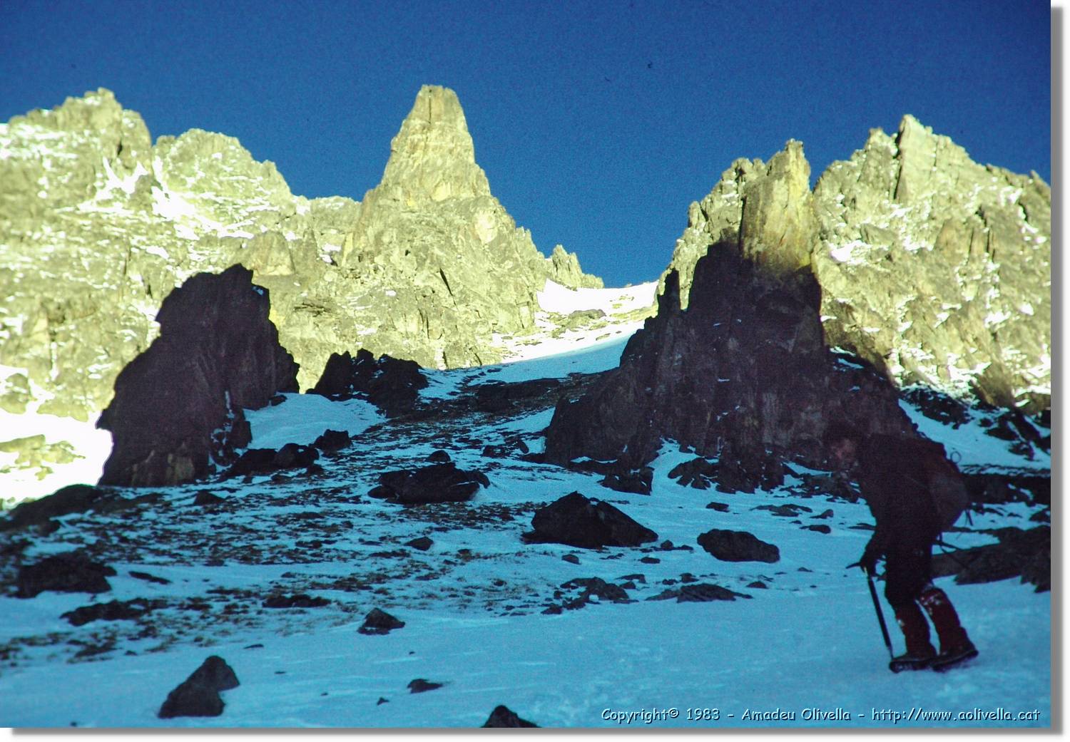Montardo_021.jpg