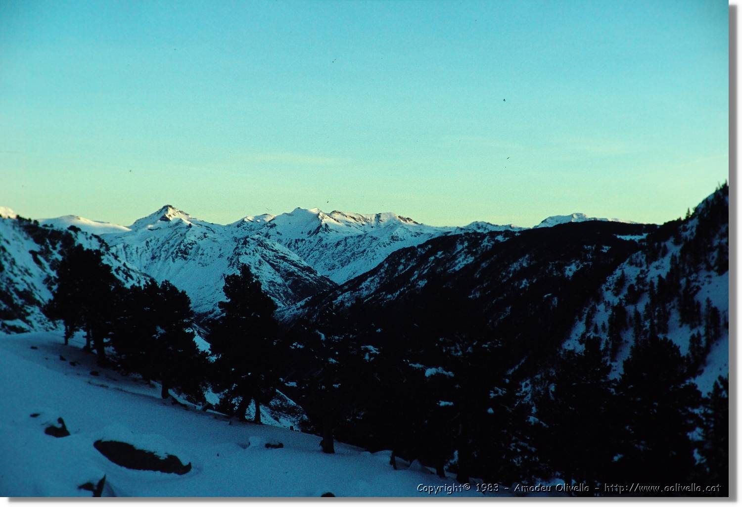 Montardo_023.jpg