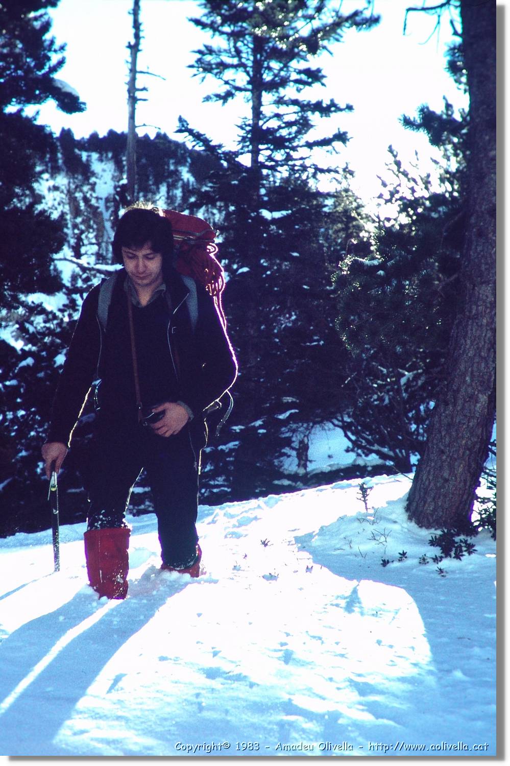 Montardo_027.jpg