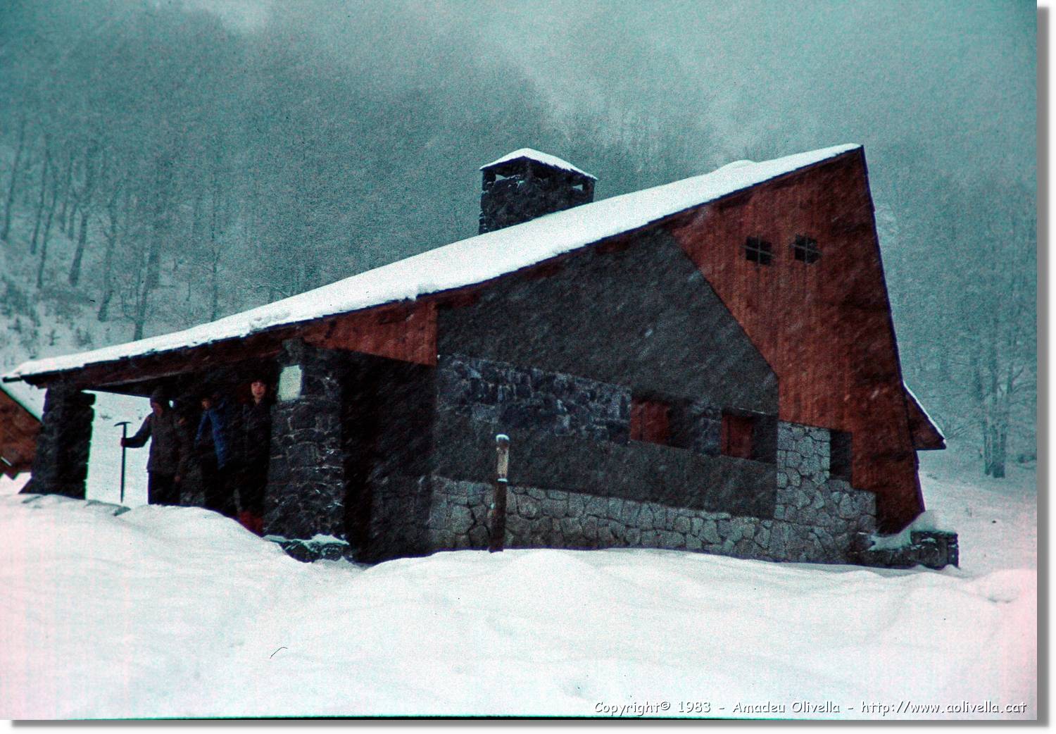 Montardo_032.jpg