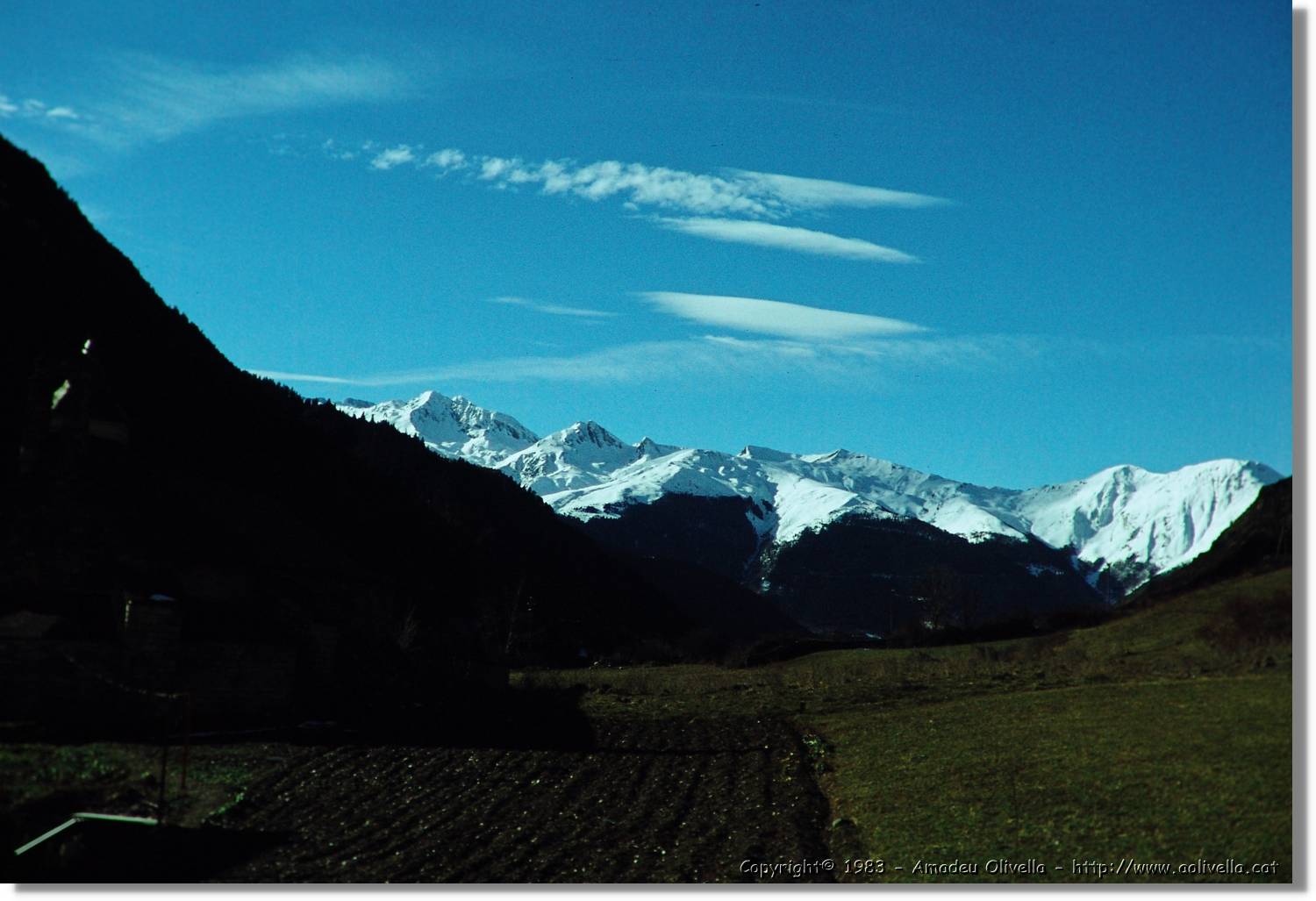Montardo_037.jpg