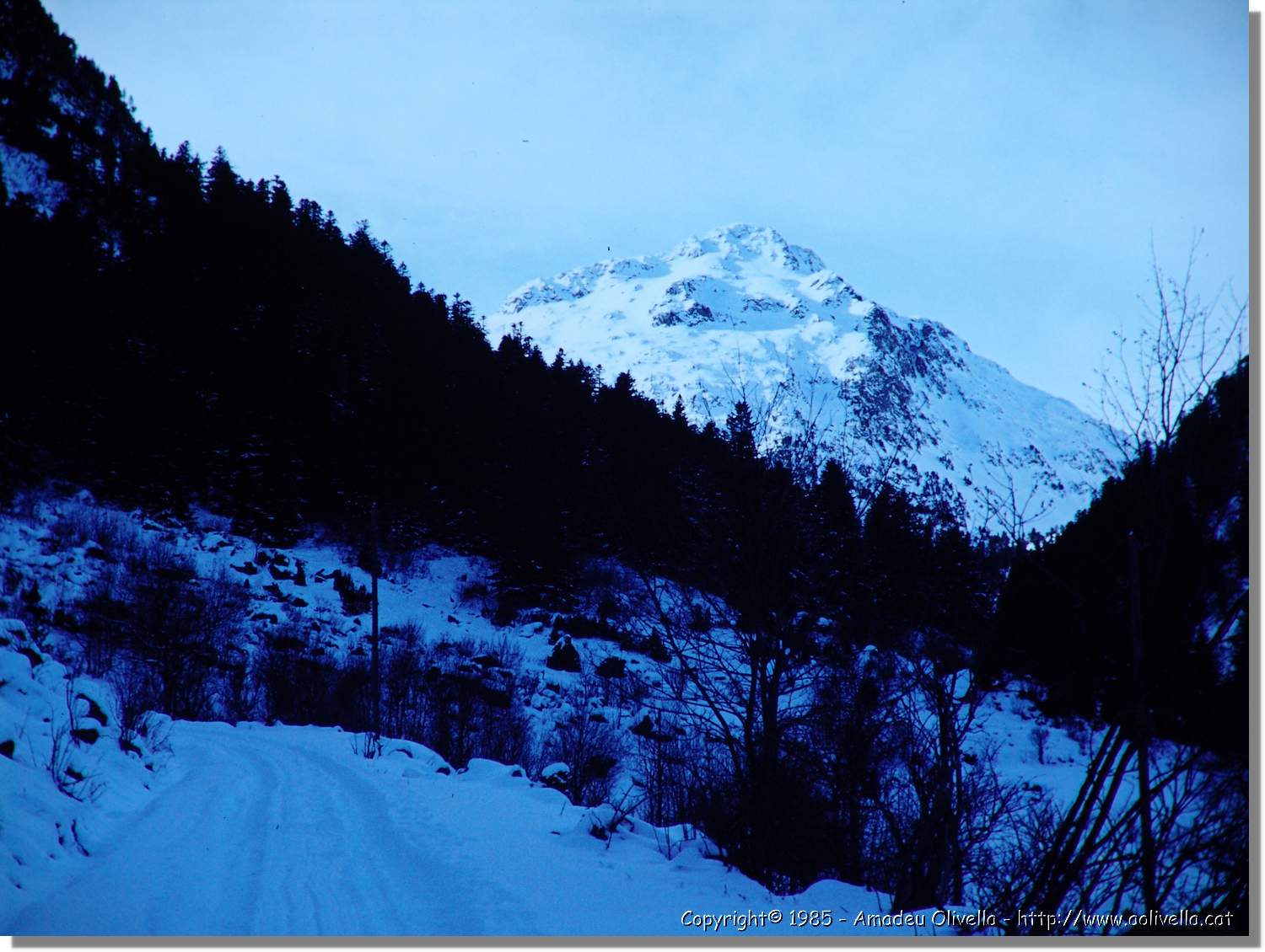 Bessiberri_006.jpg