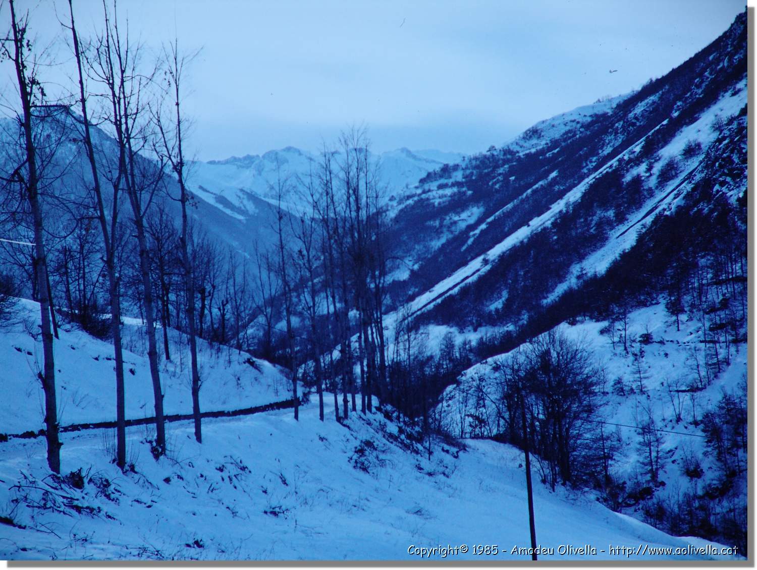 Bessiberri_018.jpg