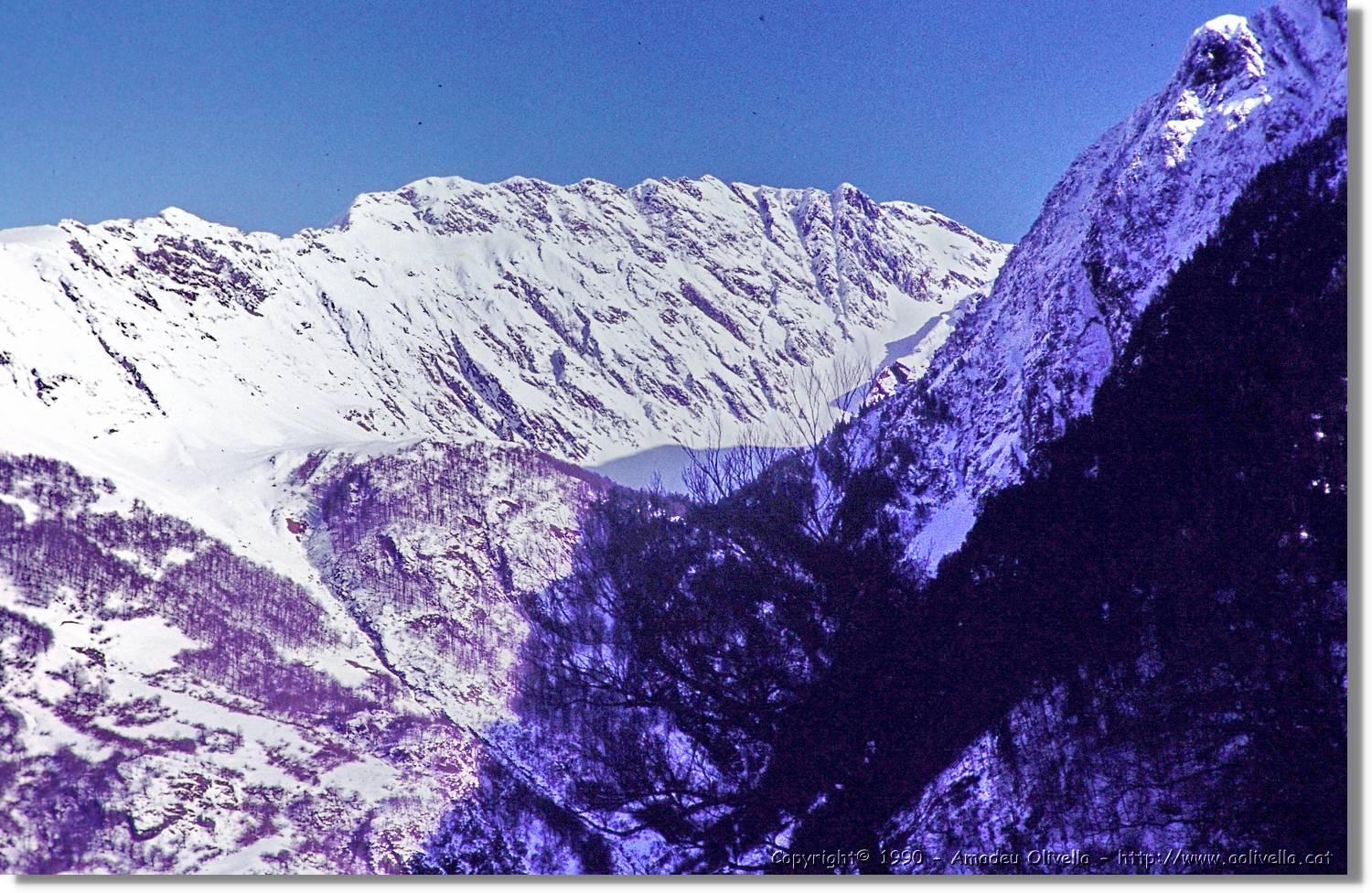 Aran_008.jpg