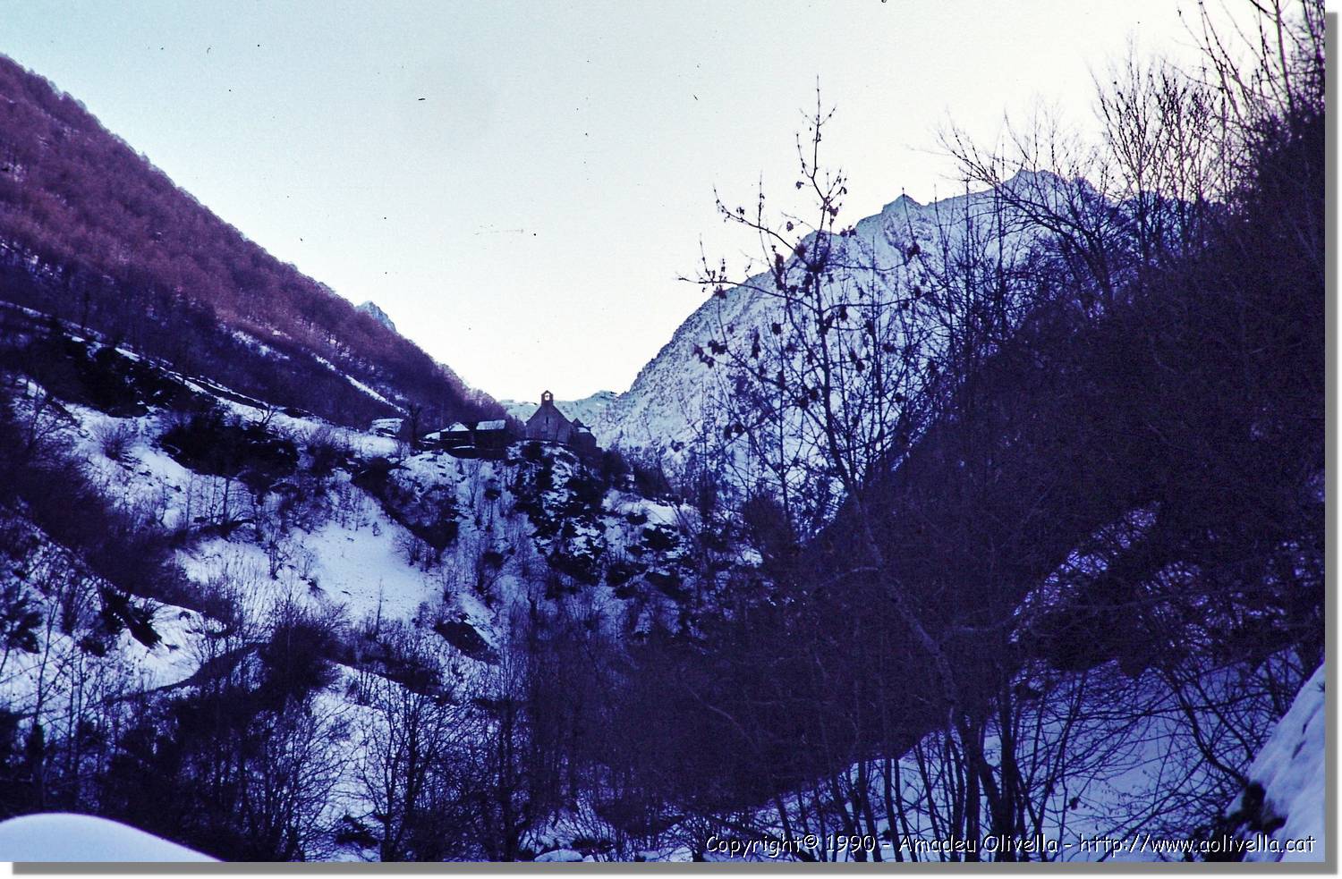 Aran_016.jpg