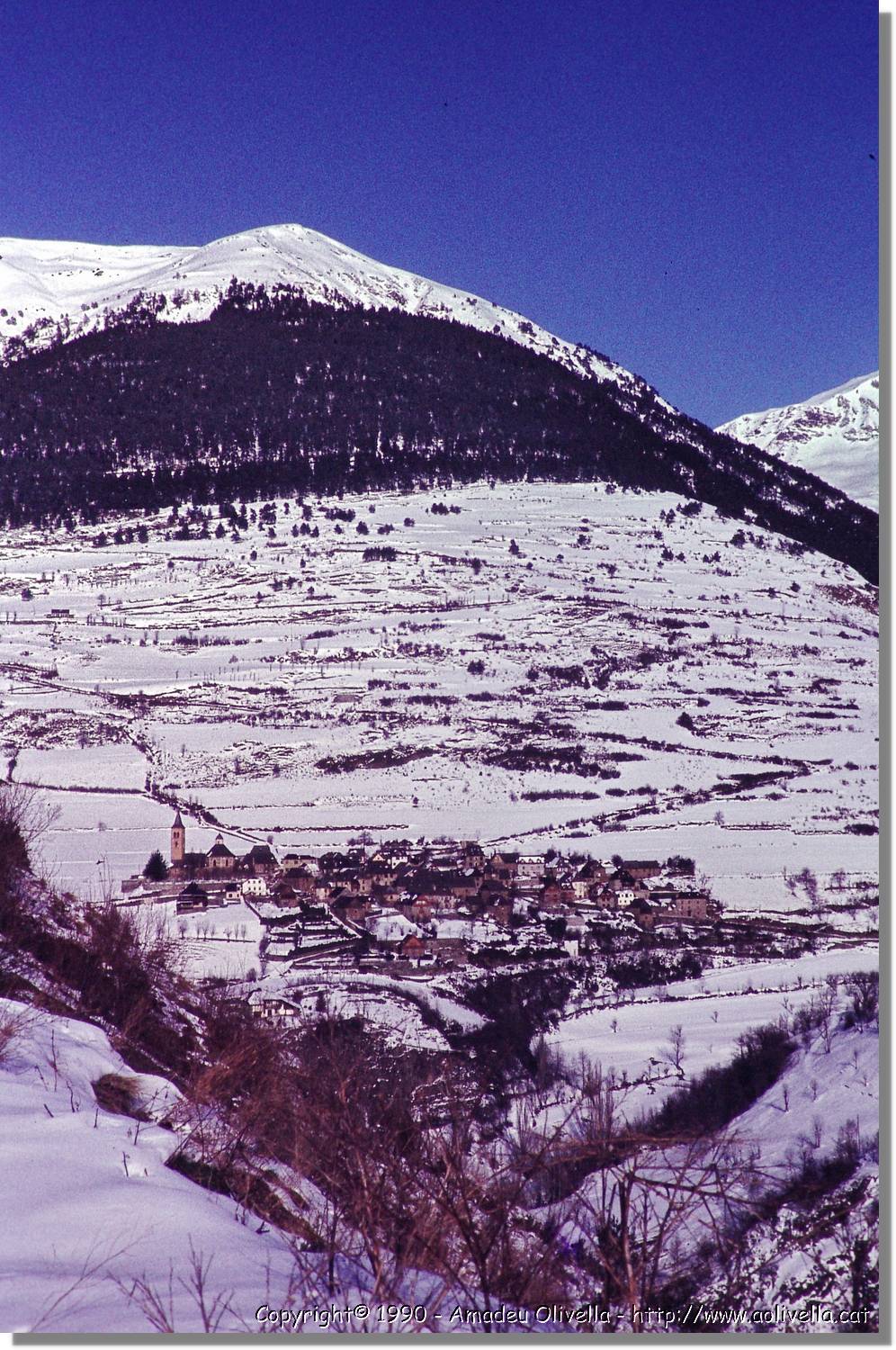 Aran_018.jpg