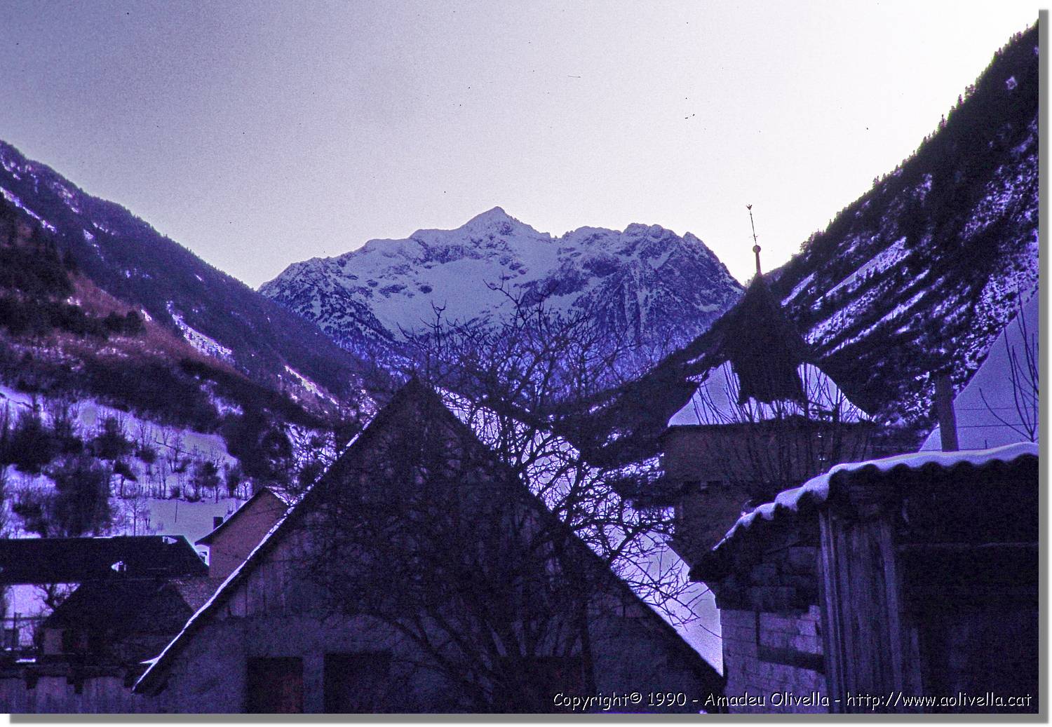 Aran_020.jpg