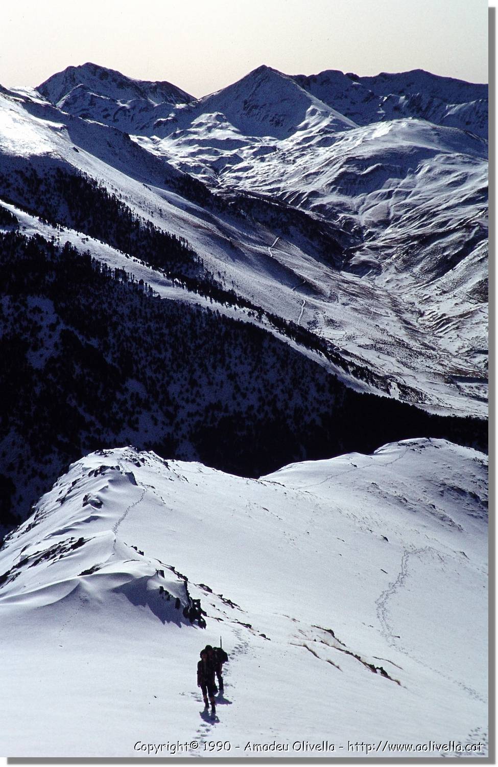 Aran_035.jpg