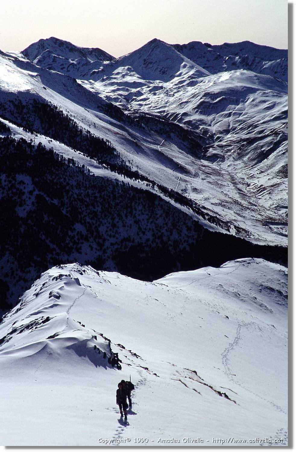 Aran_037.jpg