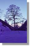 Aran_004.jpg(264 KB)