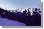 Aran_010.jpg(202 KB)