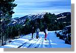Cerdanya_004.jpg(193 KB)