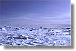 costabona_42.jpg(60,7 KB)