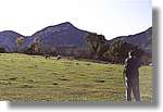 garrotxa_18.jpg(94,7 KB)
