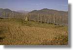 garrotxa_37.jpg(99,5 KB)