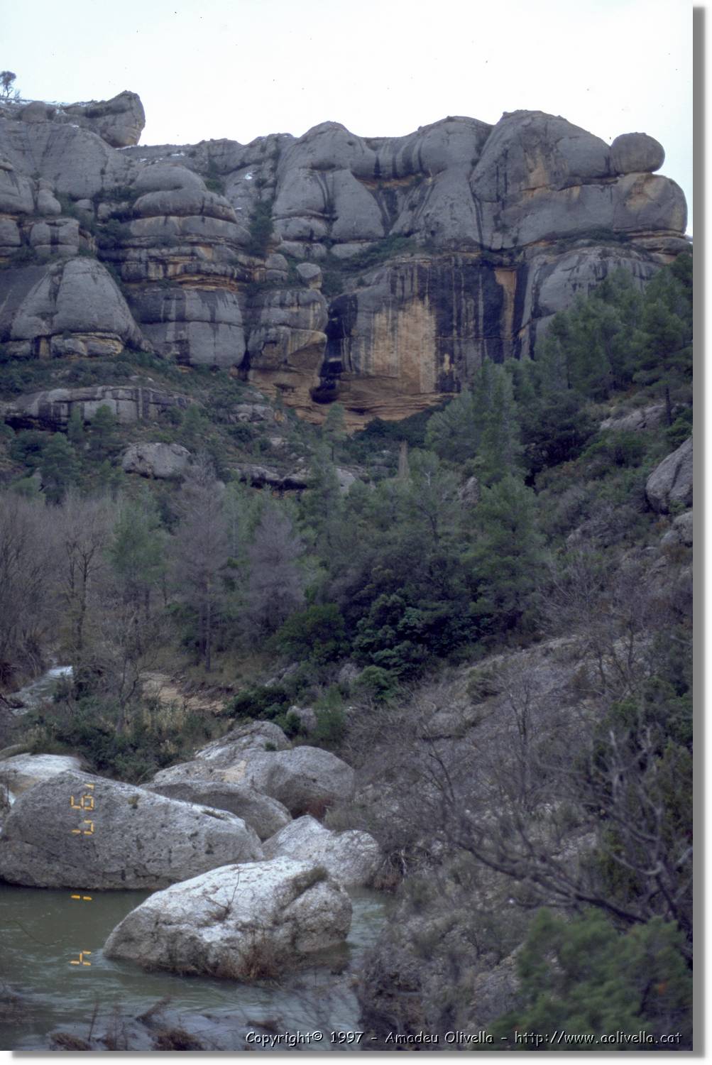 Montsant_029.jpg