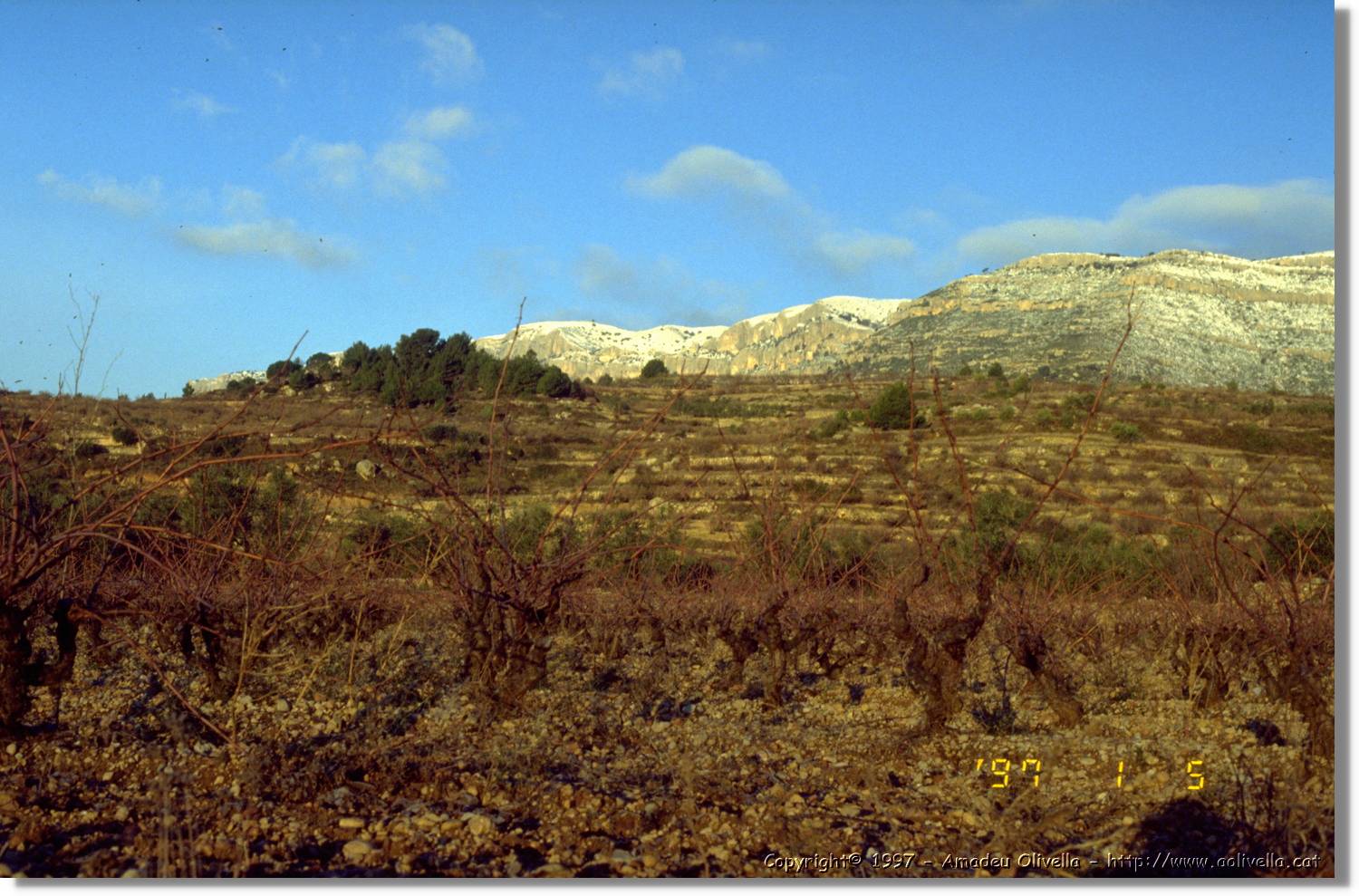 Montsant_038.jpg
