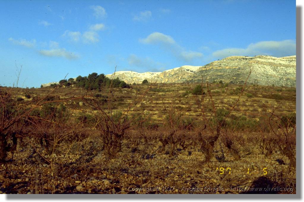 Montsant_38.jpg
