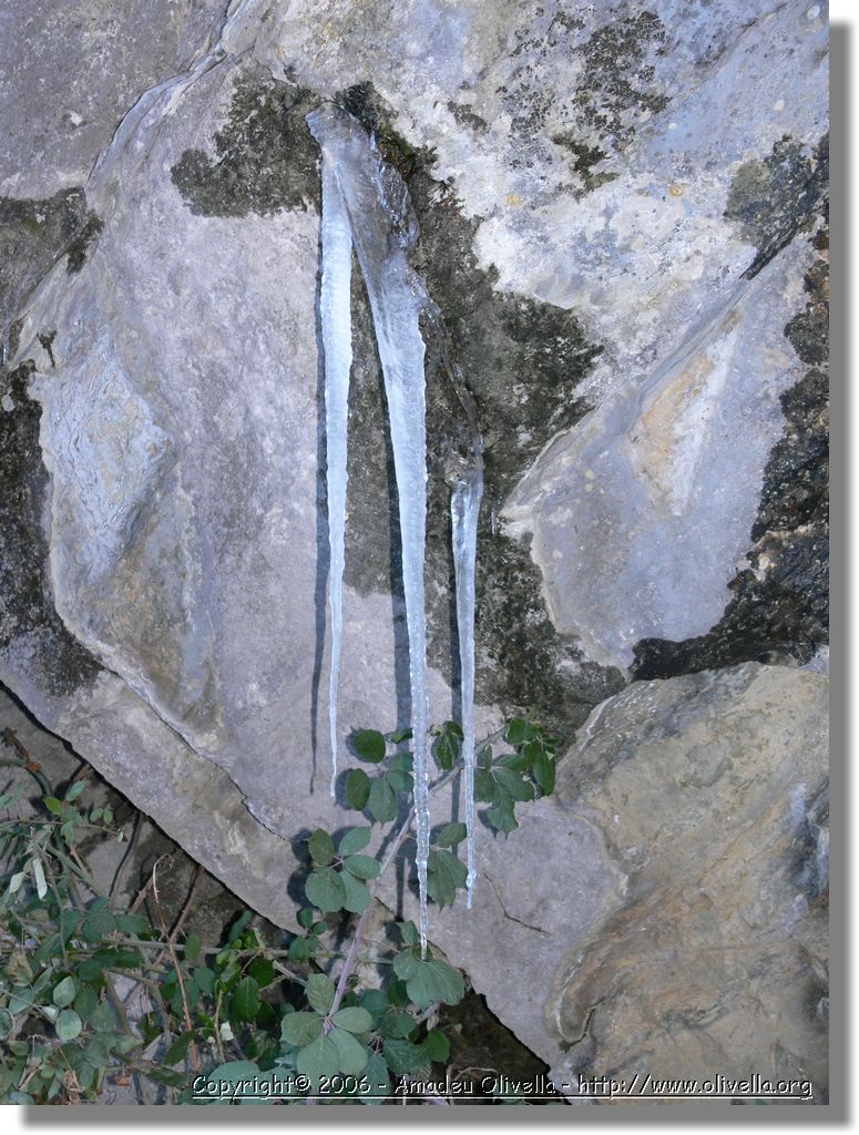 Benas_134.jpg