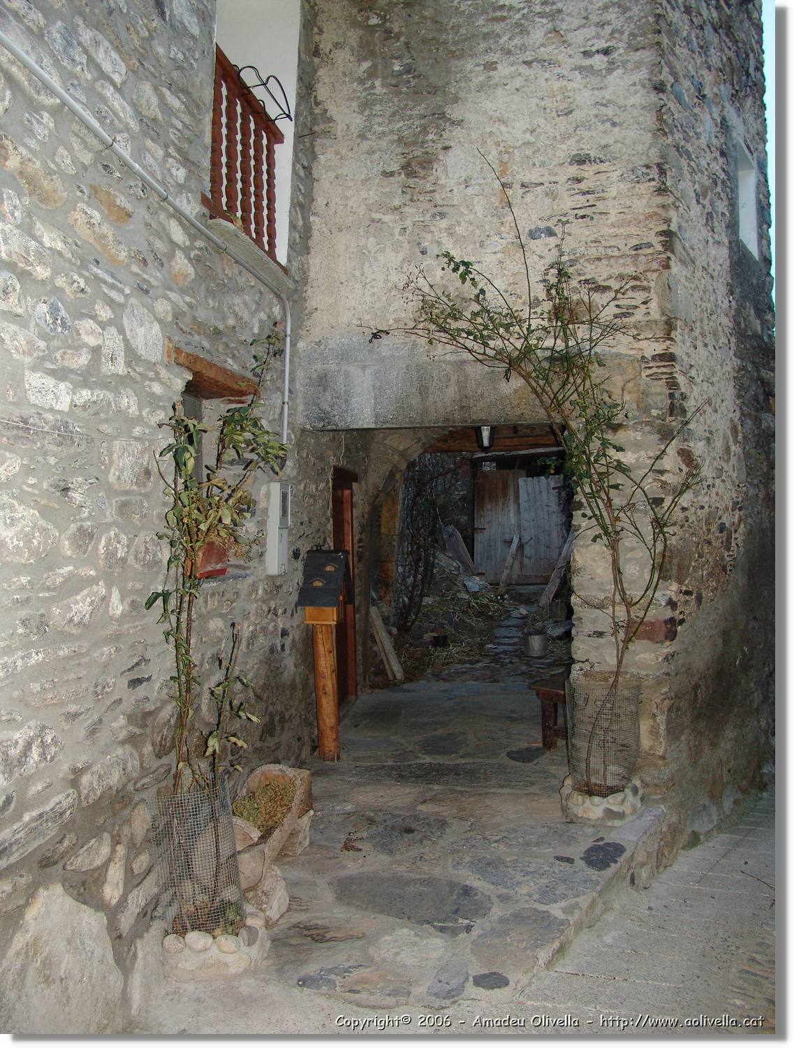 Benas_252.jpg