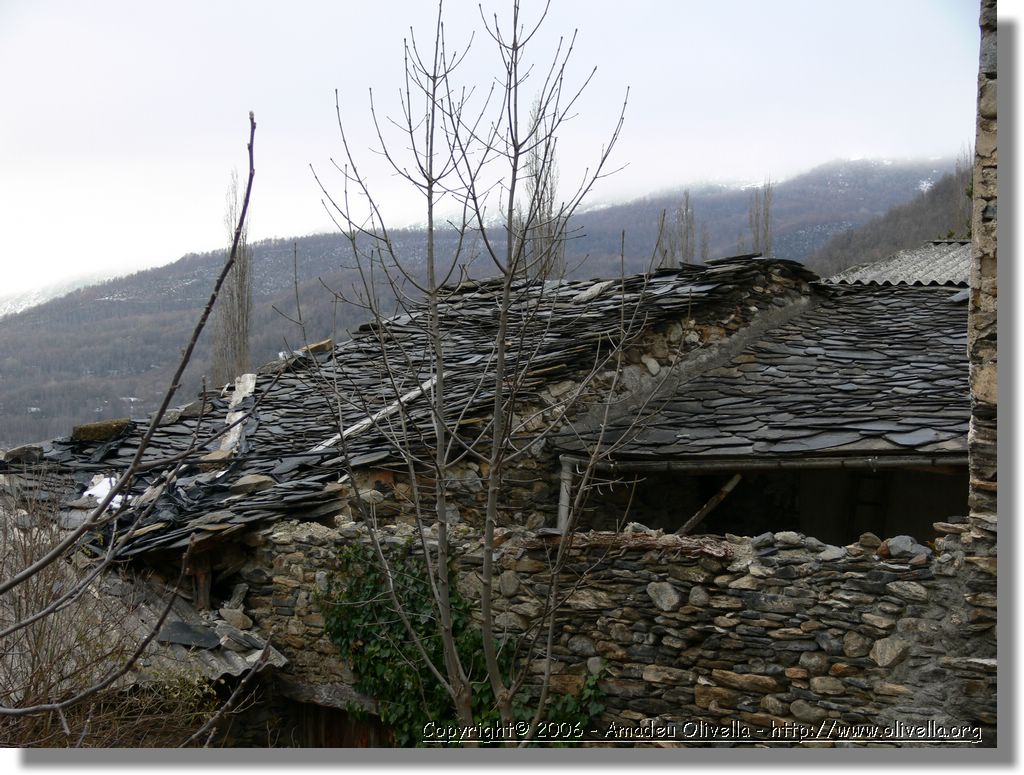Benas_298.jpg