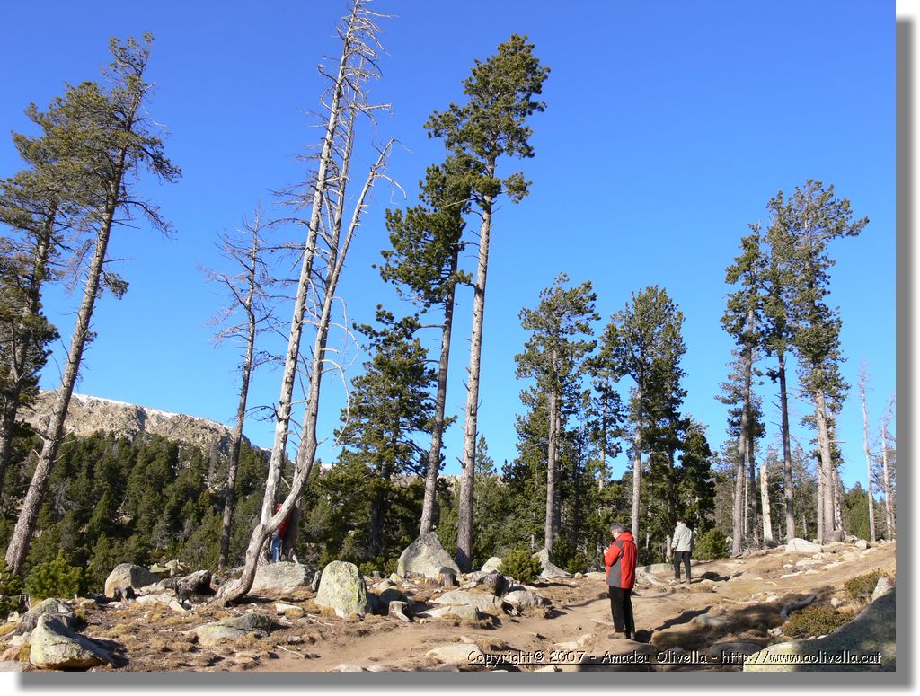 Cerdanya_010.jpg