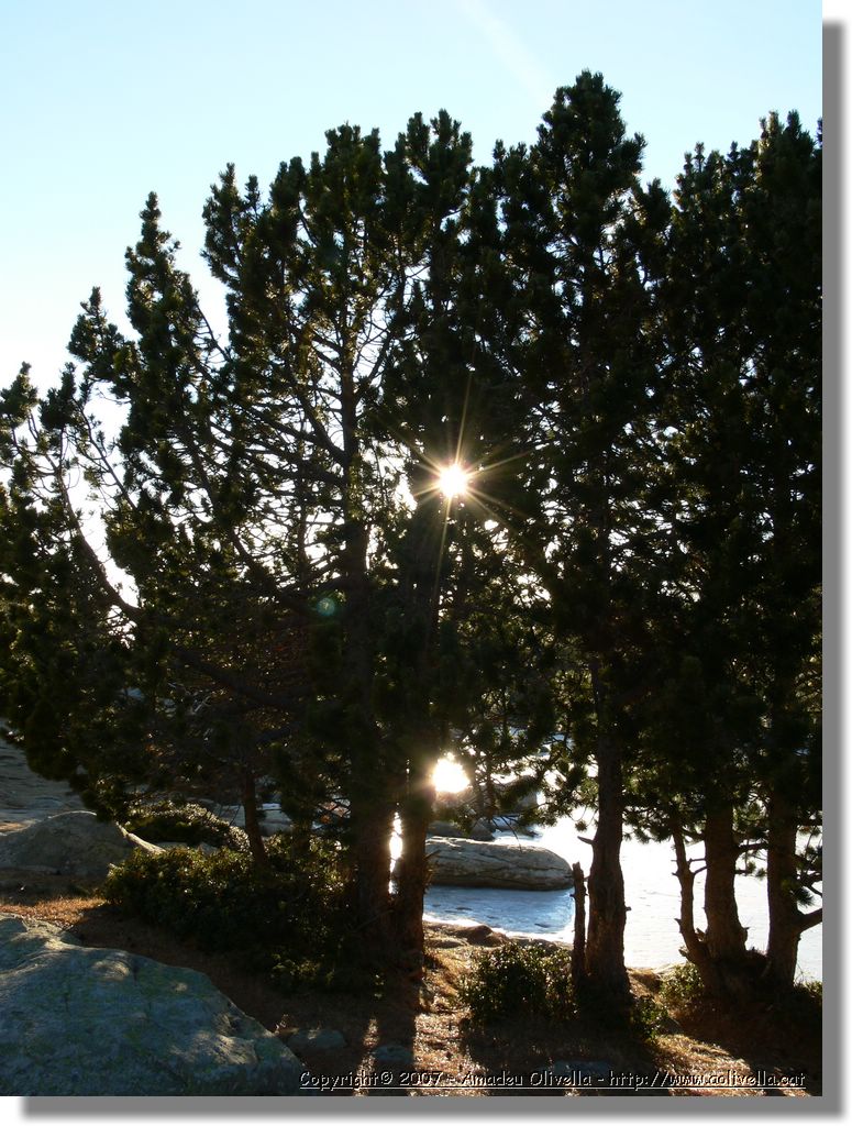 Cerdanya_017.jpg