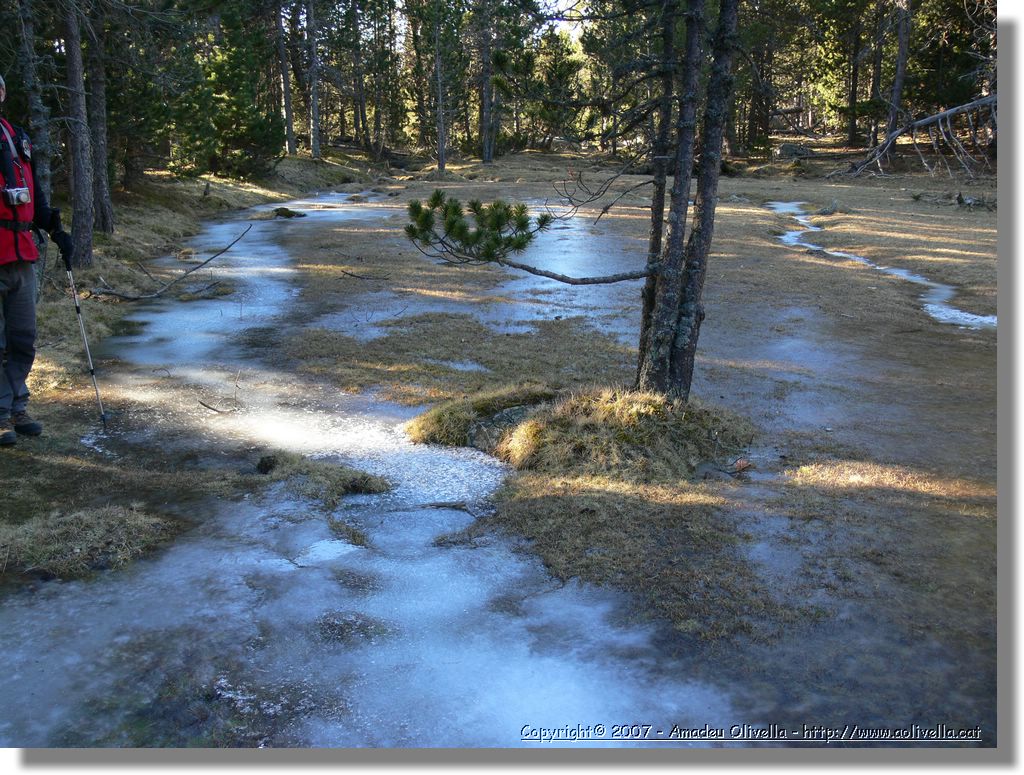 Cerdanya_036.jpg