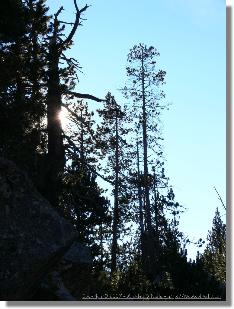 Cerdanya_040.jpg