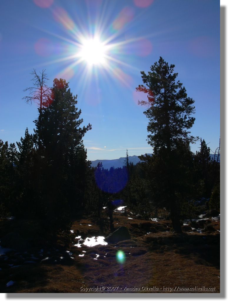 Cerdanya_043.jpg