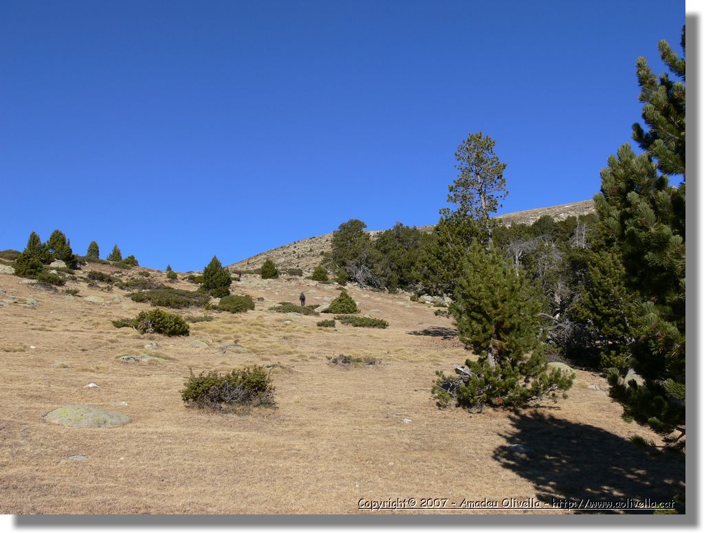 Cerdanya_046.jpg