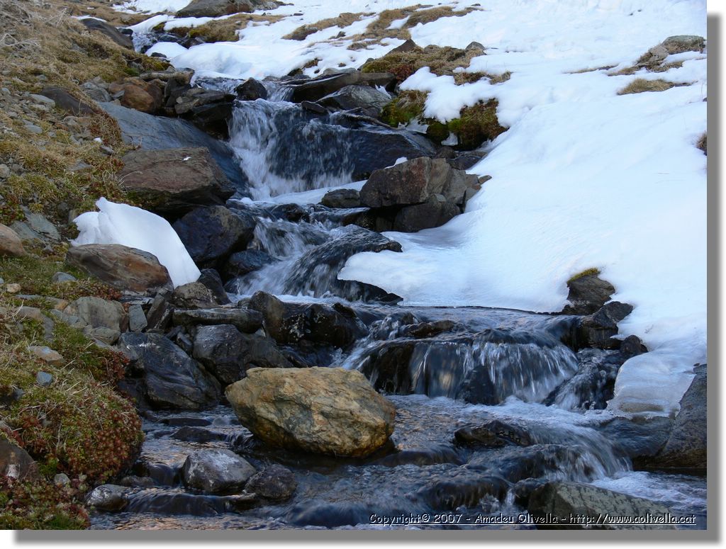 Cerdanya_291.jpg