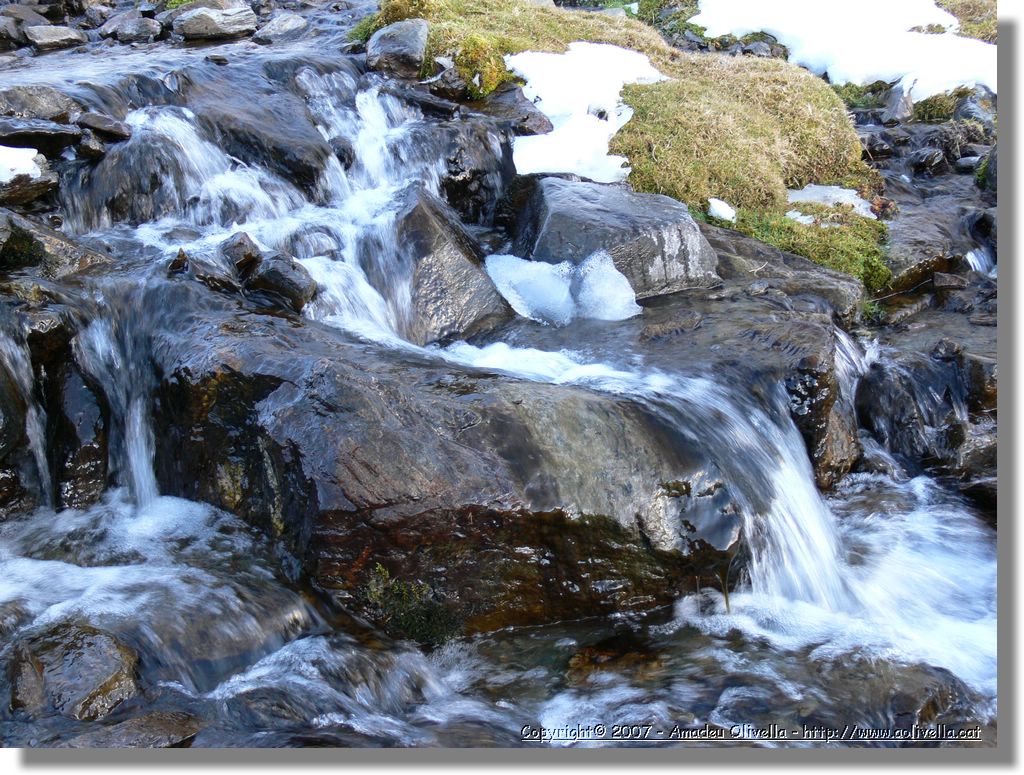 Cerdanya_294.jpg