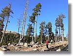 Cerdanya_010.jpg