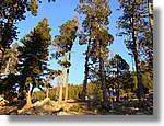 Cerdanya_022.jpg