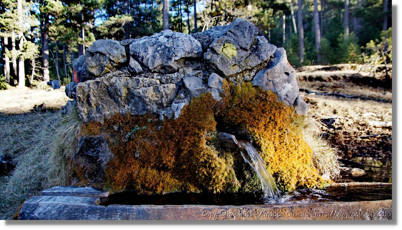 Bergada_028.jpg
